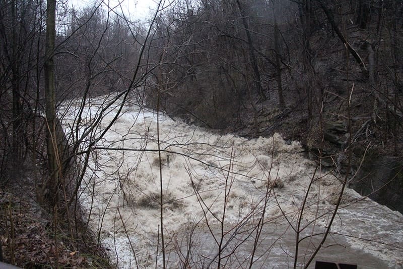 Euclid Creek Overflowing