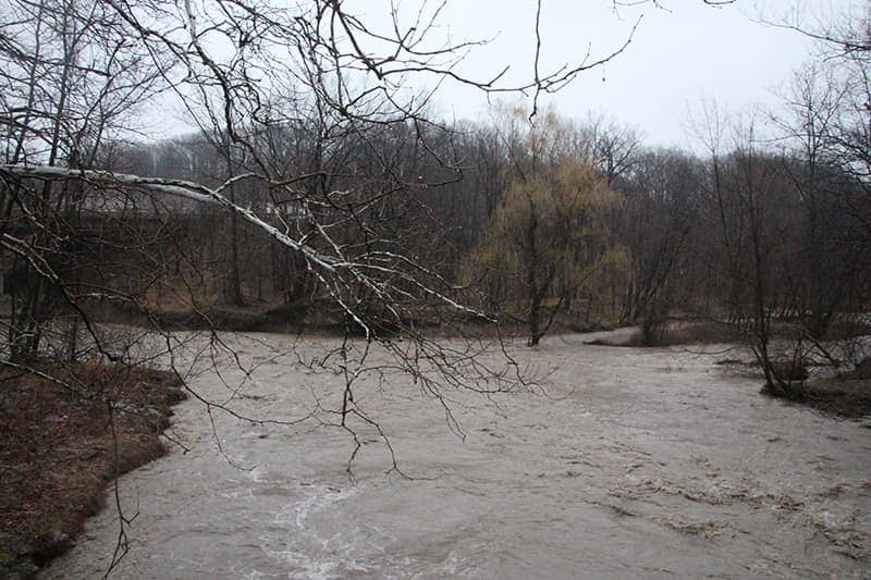 Euclid Creek Overflowing By Basketball Courts