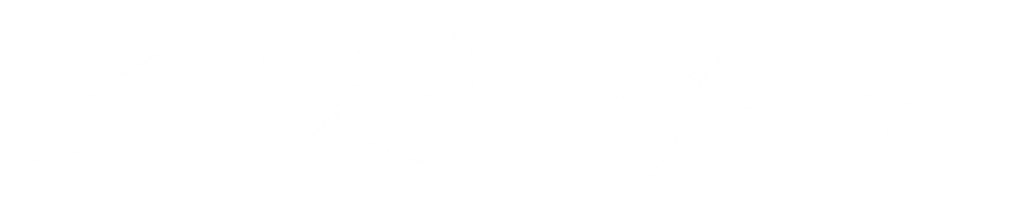 Ari Gunzburg Signature Logo