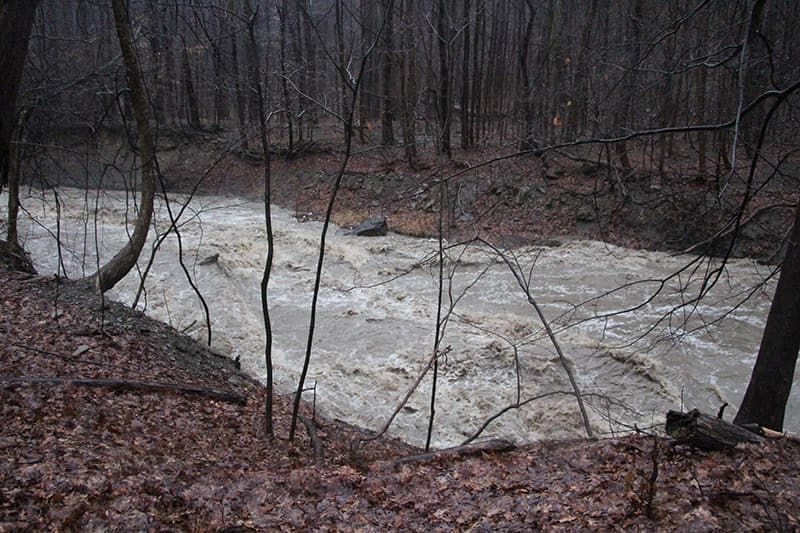 Euclid Creek Overflowing